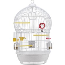 Bali Kuş Kafesi, Beyaz, White