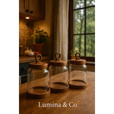 Feyza Design Şık 3’lü 1100 ml Cam Baharatlık Seti, Estetik ve Fonksiyonel Tasarım