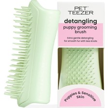 Pet Teezer - Tangle Teezer - Küçük Köpekler Için Tüy Bakım Fırçası, Açık Yeşil