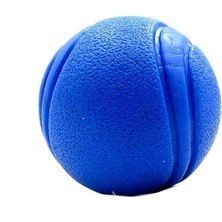 Tasma Market Mavi Yumuşak Dokulu Köpek Oyun Topu Mavi