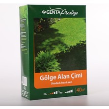 Gölge Alan Çim Tohumu 1 kg