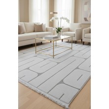 Zeta Halı Kuzey Yumuşak Dokulu Modern Halı