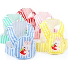 Evcil Hayvan Çantalı Göğüs Gezdirme Tasması Seti