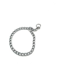 Tasma Market Paslanmaz Çelik Zincir Yavru Köpek Eğitim Tasması 40 cm 2.5mm Gümüş S Kaliteli Malzeme