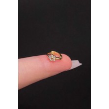 Blisse Piercing Kadın Çiçek Zirkon Taşlı Tragus Helix Kıkırdak Halka Çelik Piercing
