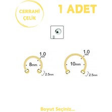 Blisse Piercing Unisex Cerrahi Çelik 1mm Kalınlık Lobe Septum Hızma Piercing