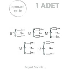 Blisse Piercing Unisex Cerrahi Çelik 2.5mm Toplu Rook Kaş Daith Helix Kıkırdak Piercing