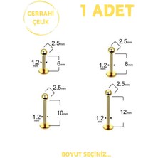 Blisse Piercing Unisex Cerrahi Çelik 2.5mm Toplu Labret Tragus Helix Piercing