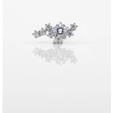 Blisse Piercing Kadın Yıldız Zirkon Taşlı Tragus – Helix – Kıkırdak Piercing (Cerrahi Çelik)