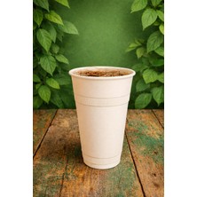 Ekolojik Ambalaj Doğa Dostu Organik Mısır Nişastası Bardak 500CC 25 Adet