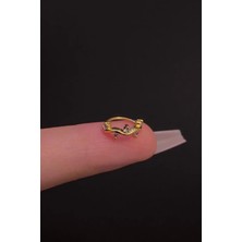 Blisse Piercing Kadın Zirkon Taşlı Daith, Septum ve Kıkırdak Halka Çelik Piercing