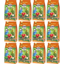 EuroGold Special Meyveli Muhabbet Kuşu Yemi 500GR x 12 Adet