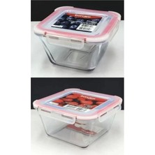 Feyza Design 2'li Borcam Saklama ve Fırın Kabı Seti, 860 ml ve 2400 ml