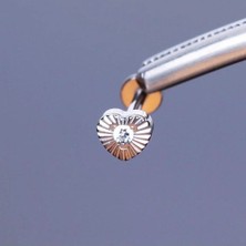Rupen Kraft %100 G23 Titanyum Zirkon Tek Taşlı Kalp Detay Pırlanta Model Kıkırdak Conch Tragus Labret Piercing