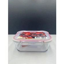 Feyza Design Pratik ve Şık Borcam Saklama ve Fırın Kabı 3350 cc