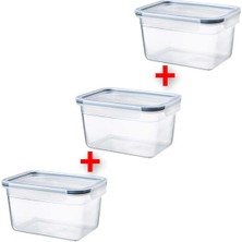 Feyza Design 3'lü Plastik Saklama Kabı Seti, 21X15X12 Cm, 2 Litre, Sızdırmaz Kapakli