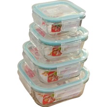 Feyza Design 4 Parça Kare Saklama Kabı Seti, Pratik ve Şık Mutfak Çözümü