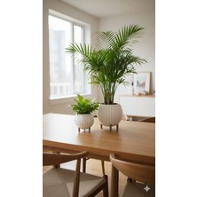 Rivon Desing Stan 2'li Saksı