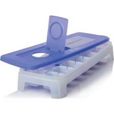 Feyza Design Buz Devri Temalı Eğlenceli ve Renkli Hediye Ürünü