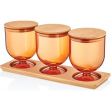 Feyza Design Pratik Saklama Kabı Seti, 0,8 L, Güzel ve Dayanıklı, Çok Amaçlı Kullanım