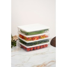 Feyza Design Antrasit 4'lü Saklama Kabı Seti, Buzdolabı, Mikrodalga ve Dondurucu Uyumlu