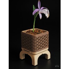 3D Snaxx Ayaklı Dekoratif Saksı – Ev ve Ofis Için Modern Çiçek Saksısı 8X8X10 cm
