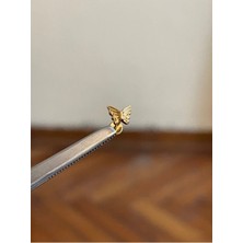 Rupen Kraft %100 G23 Titanyum Kelebek Altın Titanyum 8x1.2mm Tragus Kıkırdak Labret Piercing