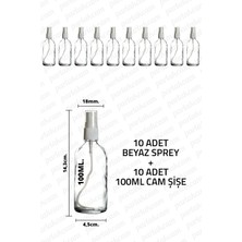 Feyza Design 100ML Şeffaf Sprey Şişe, 10 Adet, Temizlik ve Dezenfekte Ürünü