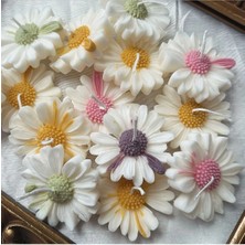 Bernami Mevlüt Pinterest Karışık 6’lı Papatya Seti