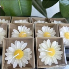 Bernami Kdekoratif Pinterest Offcial 24 Adet Papatya Mum Hediyelik Nişan, Nikah, Söz, Doğumgünü, Doğum