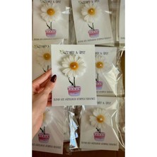 Bernami Mevlüt Pinterest 20 Adet Söz, Nişan, Düğün, Kına, Mevlüt Kartlı Papatya Mum Hediyelik, Papatya Mum, Kokulu Mum