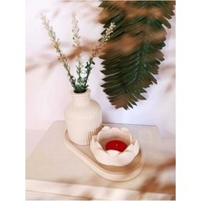 Bernami Mevlüt Pinterest Vazo Seti Pampas Vazo Lotus Mumluk Dekoratif Tabak Biblo Seti 3 Parça Koyu Krem Renginde