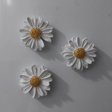 Bernami Dekoratif Pinterest Papatya Set Magnet Buzdolabı Süsü Hediyelik Eşya Dekoratif Aksesuar - 3 Adet