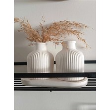 Bernami Mevlüt Pinterest Pampas Vazo Takımı 2'li, Pampas Takımı; Beyaz Beton Dekorasyon, Ev Dekorasyonu(Altlık Hariç)
