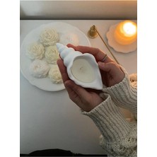 Bernami Kdekoratif Pinterest Deniz Kabuğu Istiridye Mum