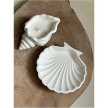 Bernami Kdekoratif Pinterest Deniz Kabuğu ve Istiridye Set Beyaz Dekoratif Tabak/takı Organizeri Mumluk