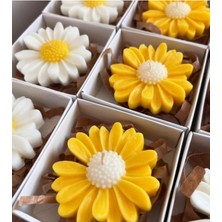 Bernami Mevlüt Pinterest Papatya Mum 1 Adet