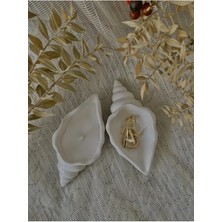 Bernami Mevlüt Pinterest 2 Li Deniz Kabuğu Biblo/takılık