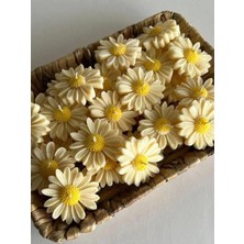 Bernami Mevlüt Pinterest 3'lü Hediyelik Suda Yüzen Kokulu Mum ( 3 Adet )