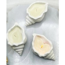 Bernami Kdekoratif Pinterest Salyangoz Mum Modeli Hediyelik(10 Adet)
