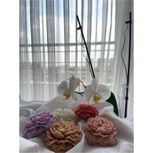 Bernami Kdekoratif Pinterest Şakayık Gülü Mumu 5'li Paket