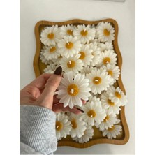 Bernami Kdekoratif Pinterest Papatya , Kdekoratif Şekeri, Doğum, Sünnet, Kdekoratif Nişan Söz, Kına, Doğum Günü - 10 Adet