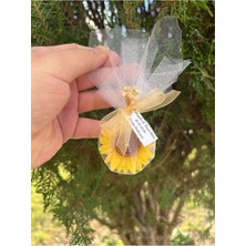 Bernami Dekoratif Pinterest Ayçiceği Temalı Mum Dekoratif Şekeri, Doğum, Sünnet, Dekoratif Nişan Söz, Dekoratif - 15 Adet