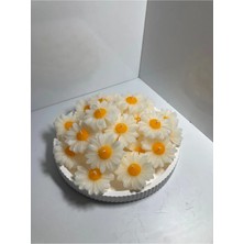 Bernami Mevlüt Pinterest Papatya 15 Adet Mevlüt Nişan Mevlüt Sünnet Organizasyon Hediyelikleri