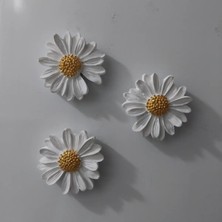 Bernami Kdekoratif Pinterest Papatya Set Magnet Buzdolabı Süsü Hediyelik Eşya Dekoratif Aksesuar - 3 Adet
