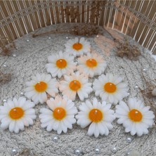 Bernami Mevlüt Pinterest Papatya Mum Sarı Nişan, Nikah, Doğum Günü, Özel Gün - 10 Adet