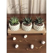 Bernami Şamdan Pinterest 3'lü Biblo Örgü Tasarım Taş Tozu Mini Saksı - Boş Sukulent Saksısı