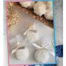 Bernami Mevlüt Pinterest Mumlu Şakayık Gül Hediyelik - 10 Adet