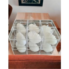 Bernami Mevlüt Pinterest Mika Kutu Içinde Mini Istiridye Mum Seti - 12 Adet