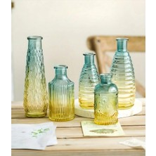 Felis Arte 5'li Gradyan Cam Vazo Seti ,dekoratif, Minimalist